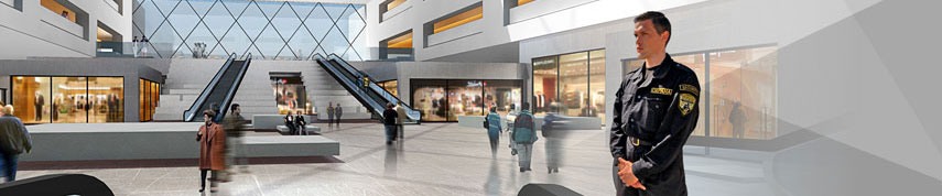 Физическая охрана