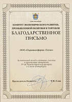 За внесенный вклад и активное участие в организации проведения IV Рождественской ярмарки в Санкт-Петербурге