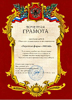 За активную работу по обеспечению охраны общественного порядка и охрану имущества на территории Красносельского района